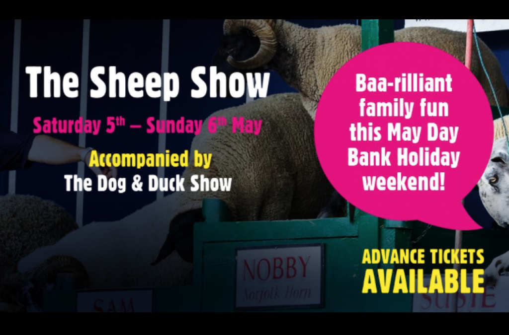 The Sheep Show at Farringtons