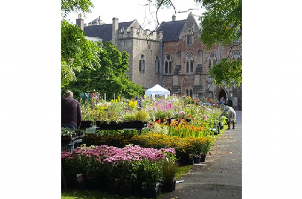 The English Country Garden Festival returns to The Bishop’s Palace