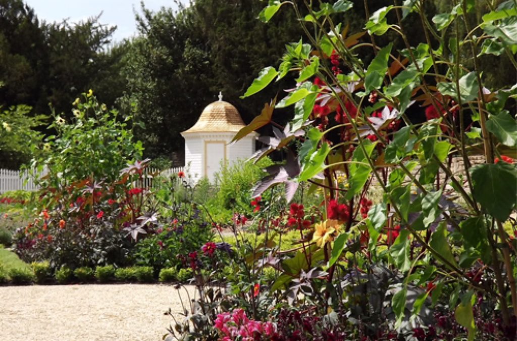The American Museum & Gardens, in Bath, set to launch £2-million pound ‘New American Garden.’