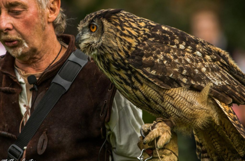 Medieval Falconry at The Bishop’s Palace Saturday 13th April 10am-4pm