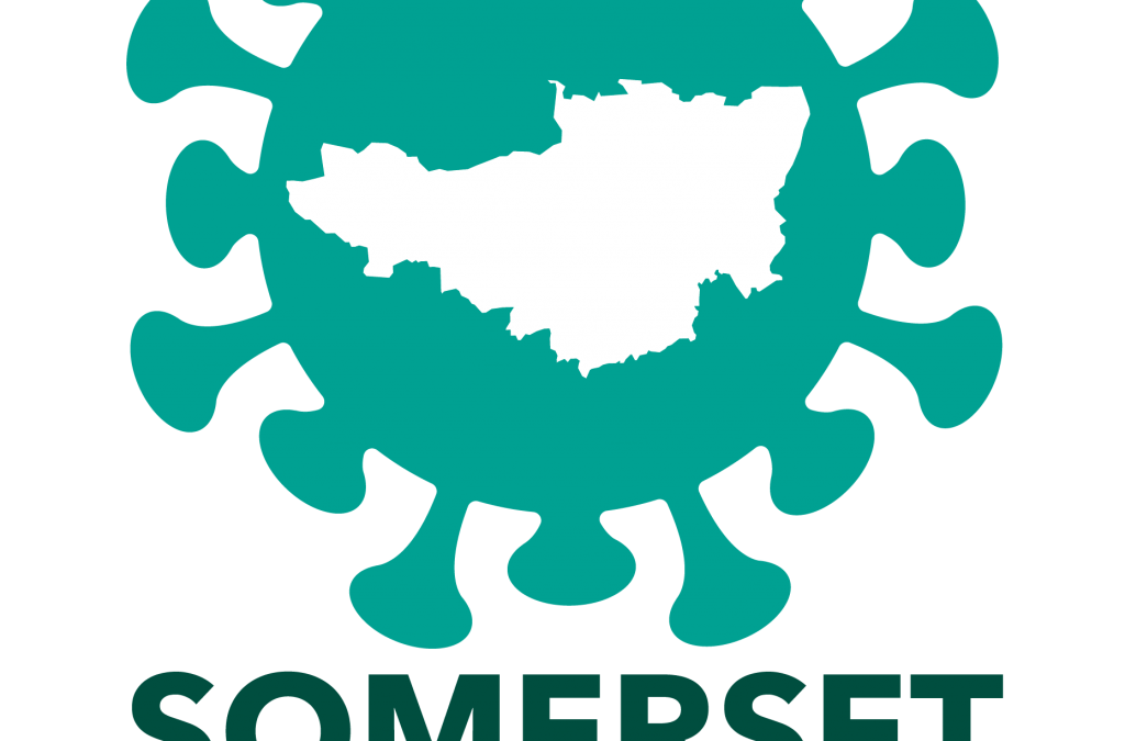 Introducing Somerset’s Covid Community Champions