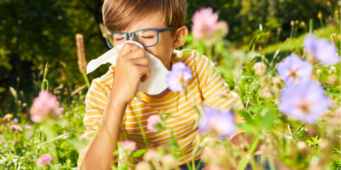 Hay Fever in the UK: 5 Top Tips to Help You Survive the Season