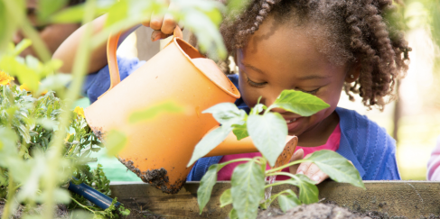 Top Tips for Gardening with Children