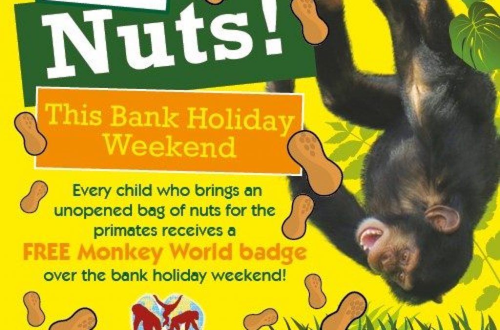 Go Nuts This Bank Holiday Weekend!