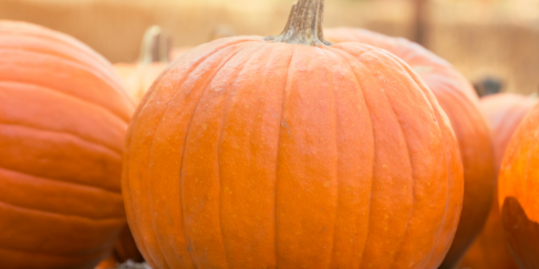 Make the most of your pumpkin